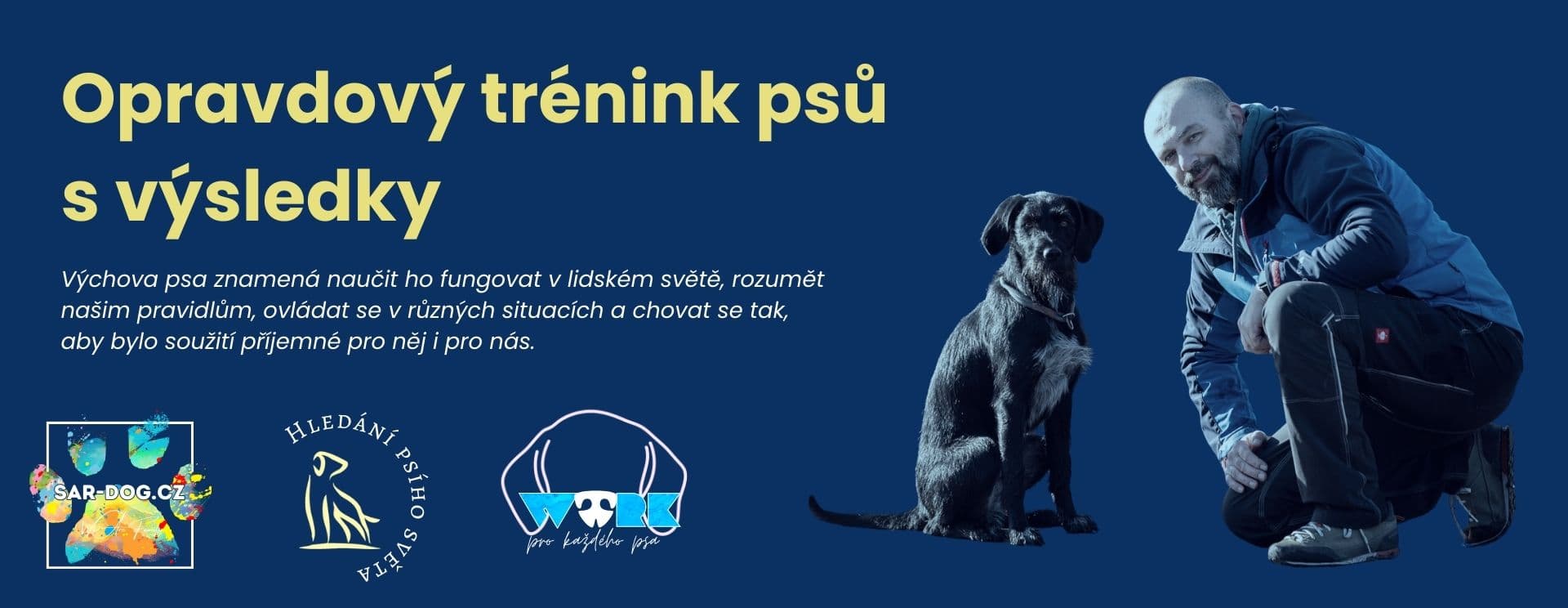 Professional dog training session